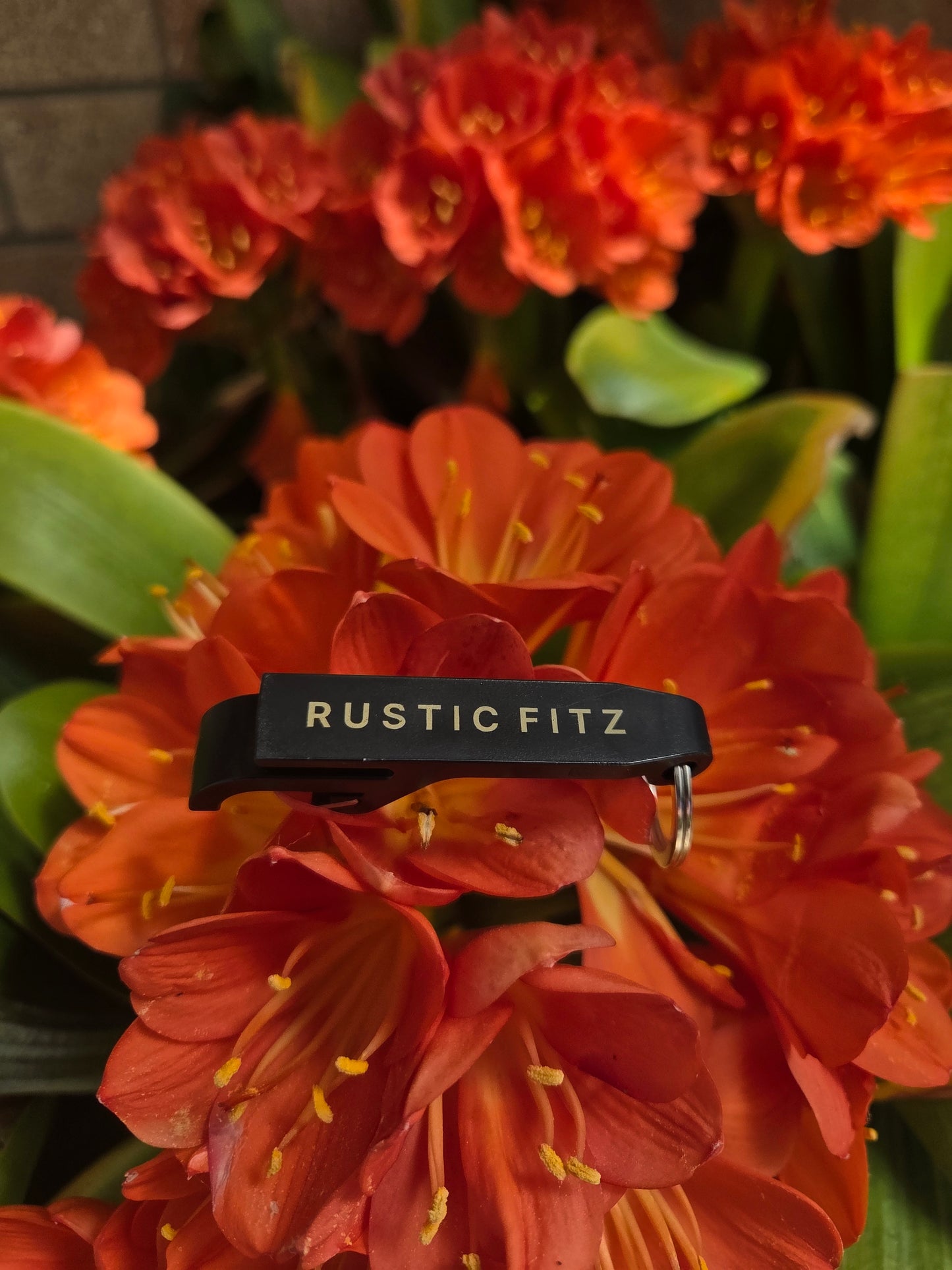 'The Rustic Cracker' Bottle Opener