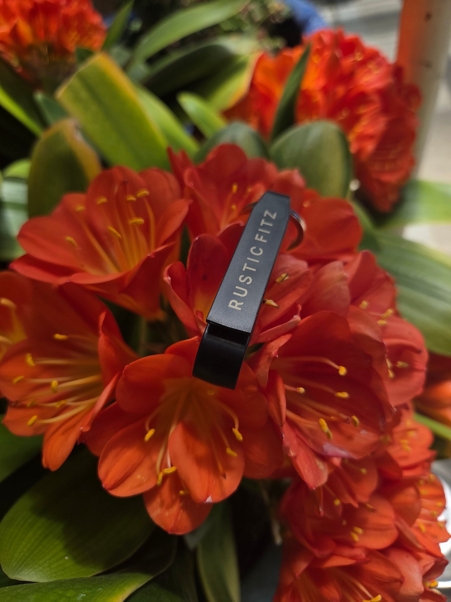 'The Rustic Cracker' Bottle Opener